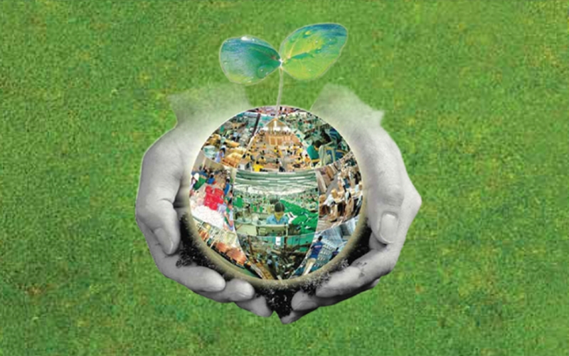 Lựa chọn thông minh cho gia đình Việt với viên rửa bát an toàn cho sức khỏe và môi trường viên rửa bát an toàn cho sức khỏe và môi trường